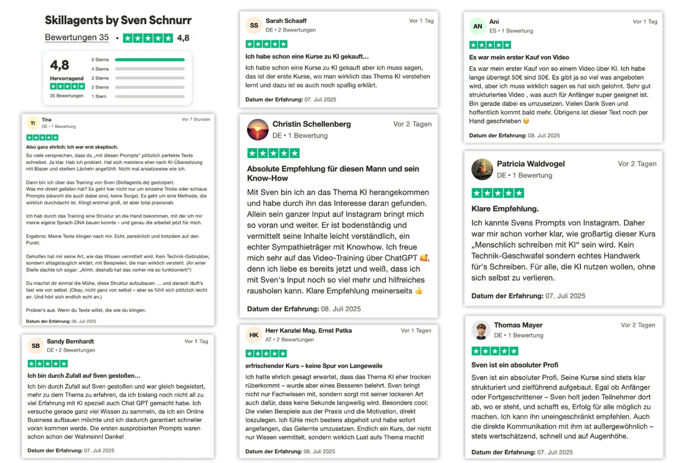 Trustpilot-Bewertungen zu Skillagents